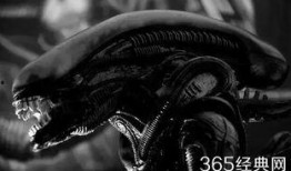 异形契约在线观看完整免费,揭秘外星文明与人类命运的惊悚之旅