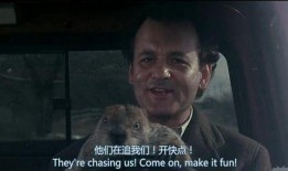 土拨鼠之日在线观看,穿越时空的奇妙循环